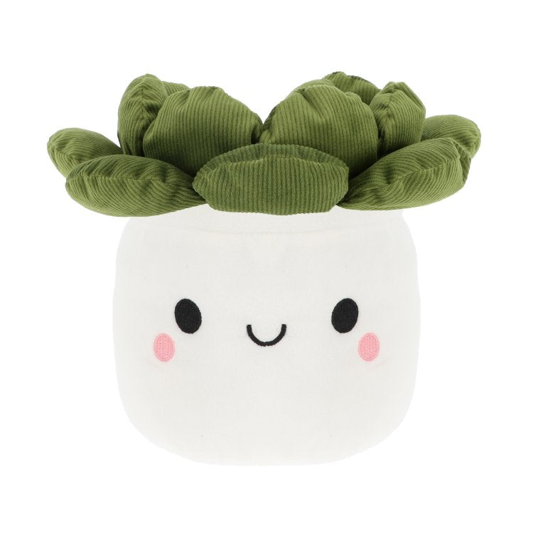 Keel Eco Bobballs Plants & Flowers 30cm – Eco-Friendly Plant & Flower Soft Toys, Succulant