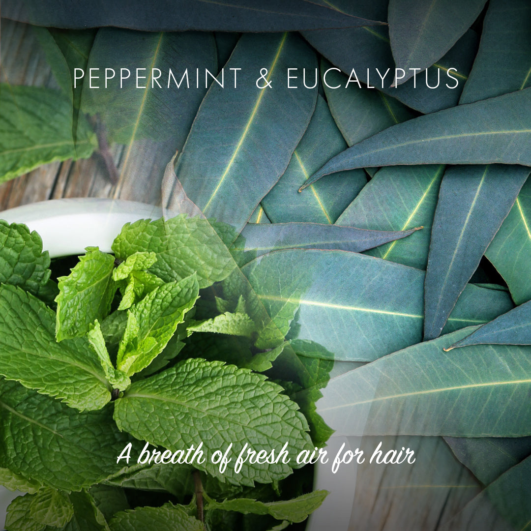 Conditioner Bar - Peppermint & Eucalyptus