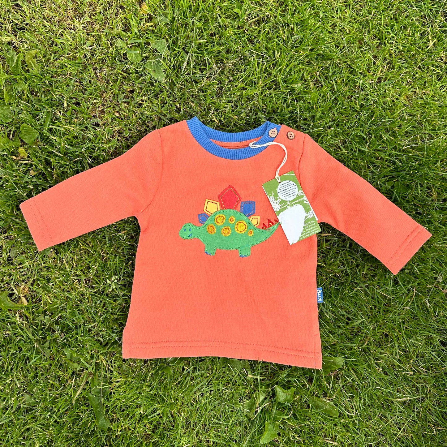 Kite Dinosaur organic cotton sweatshirt
