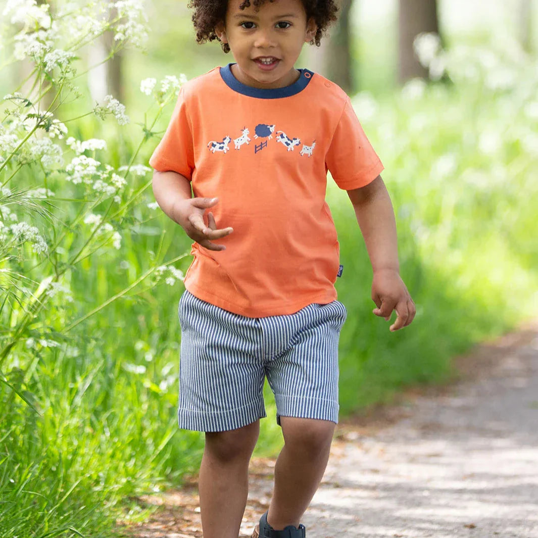 Kite Farm Fun organic cotton t-shirt