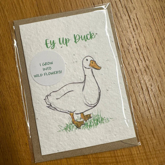 Seed Greeting Card, Ey Up Duck