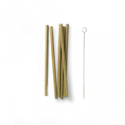 Reusable Bamboo Straws Set of 6 with Cleaning Brush – Original Green