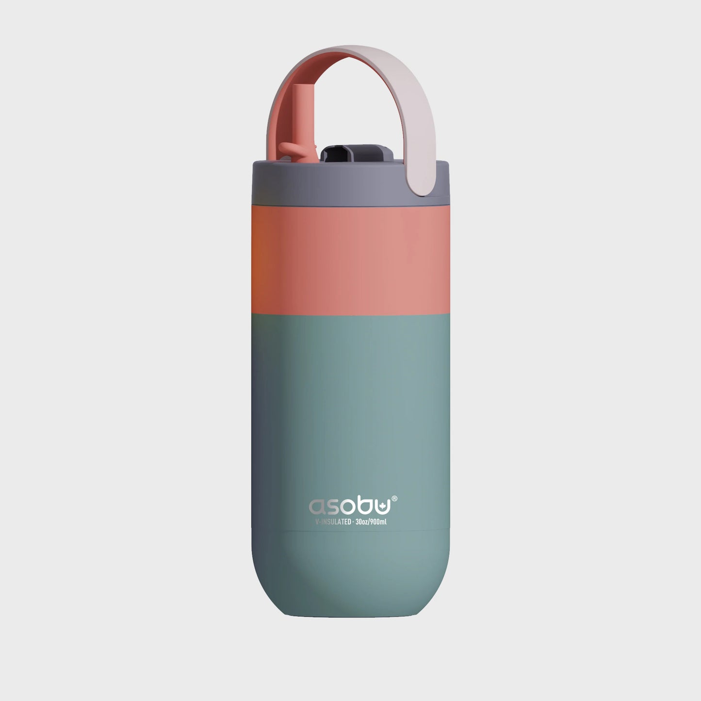 SuckUK 30oz Insulated Water Bottle with Handle – Stainless Steel Bottle with Straw, Pastel Green