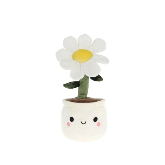 Keel Eco 30cm Bobballs Plant, Daisy