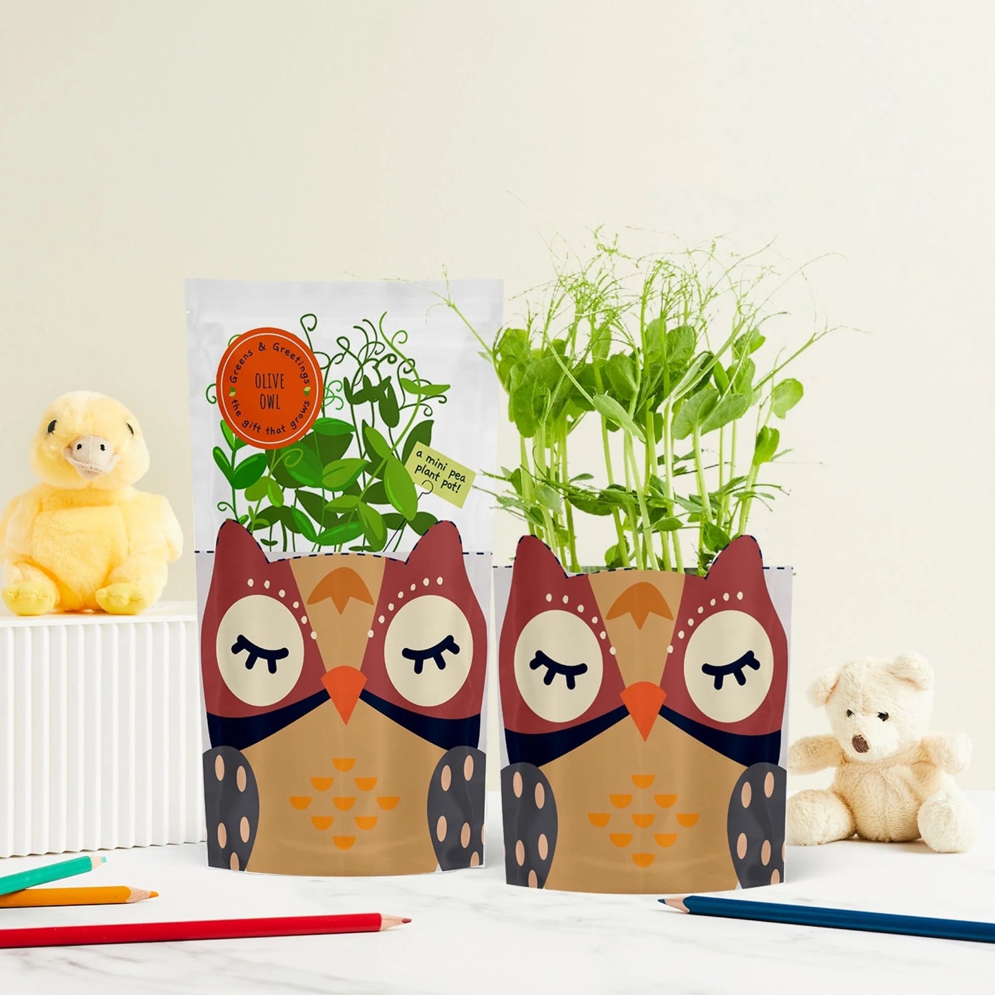 Shroot Greens & Greeting Seed Gift, Olive Owl
