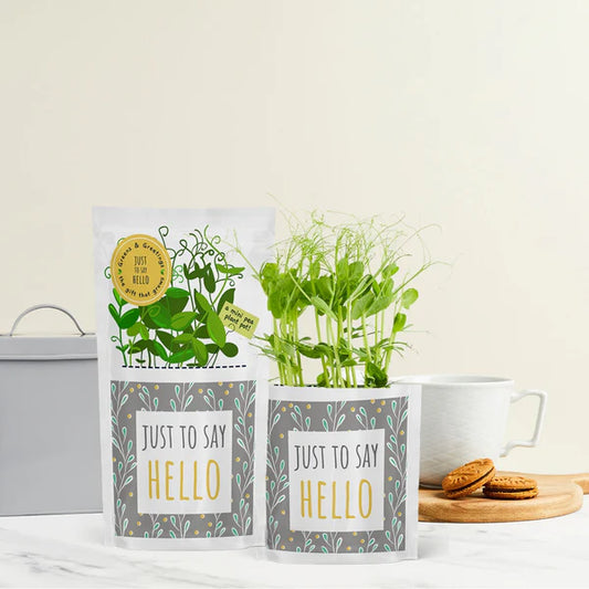Shroot Greens & Greeting Seed Gift, Just To Say Hello