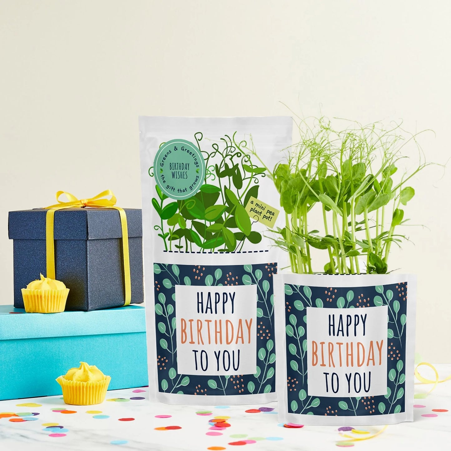 Shroot Greens & Greeting Seed Gift, Birthday Wishes