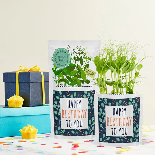 Shroot Greens & Greeting Seed Gift, Birthday Wishes