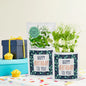 Shroot Greens & Greeting Seed Gift, Birthday Wishes