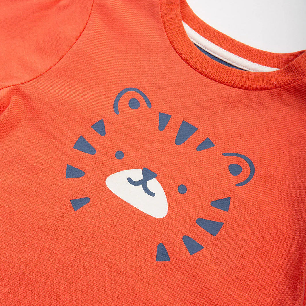 Kite Top Tiger T-Shirt – Organic Cotton Kids Tiger Tee