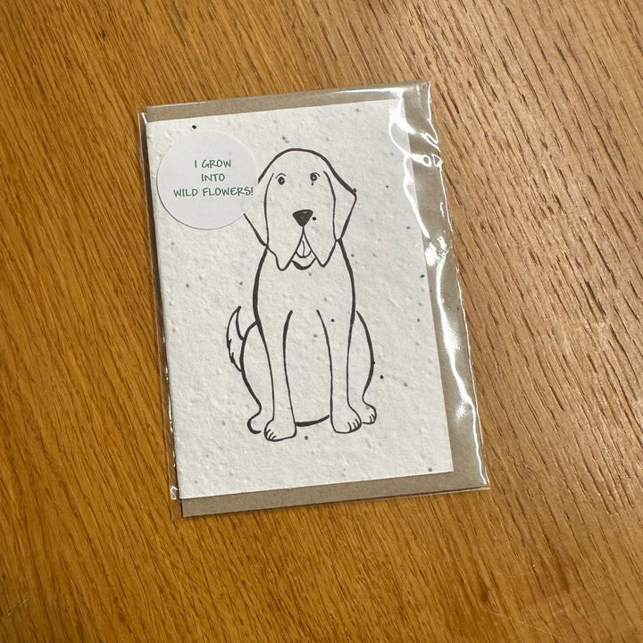 Seed Greeting Card, Duggy Dog