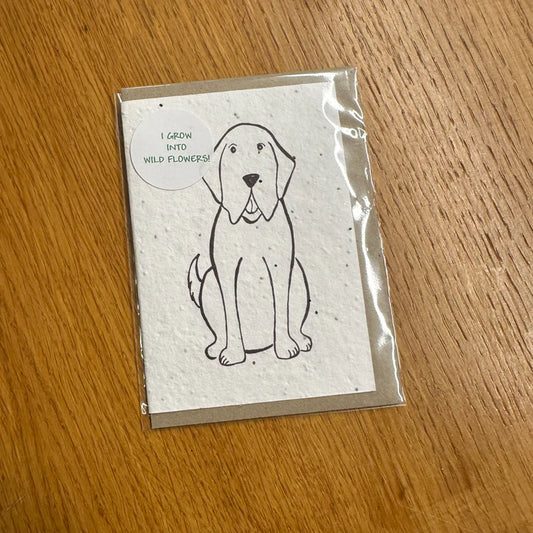 Seed Greeting Card, Duggy Dog