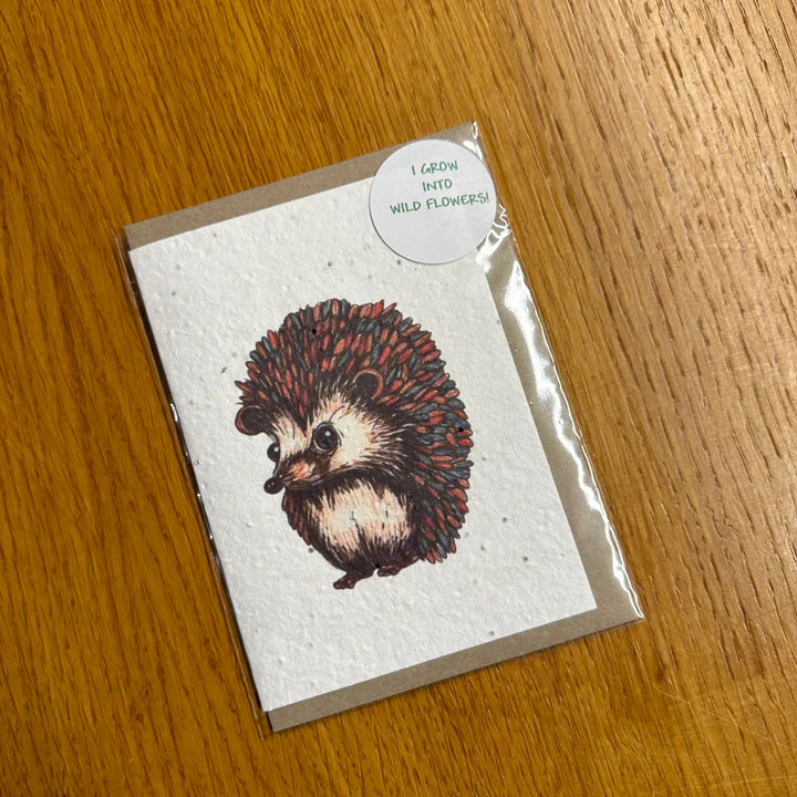 Seed Greeting Card, Hedgehog