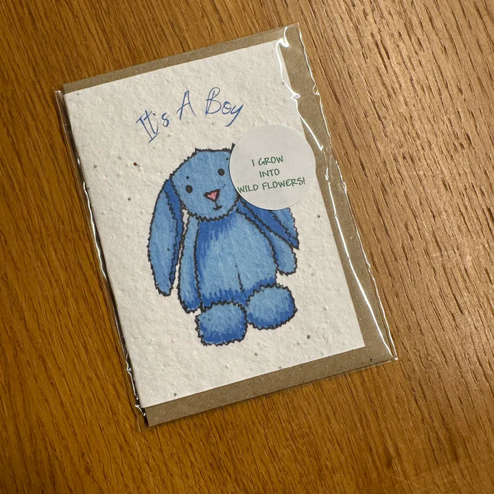 Seed Greeting Card, It's A Boy