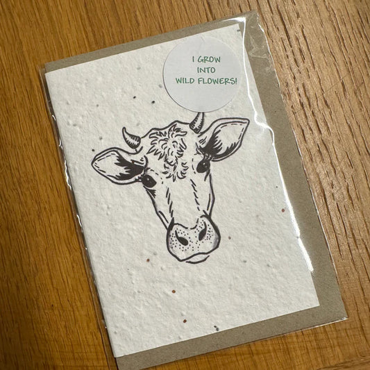 Seed Greeting Card, Cow