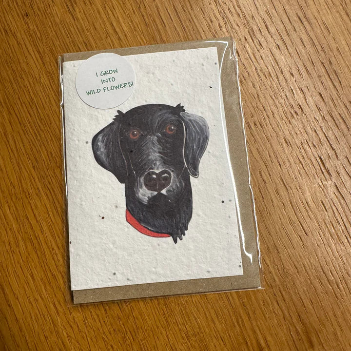 Seed Greeting Card, Black Labrador