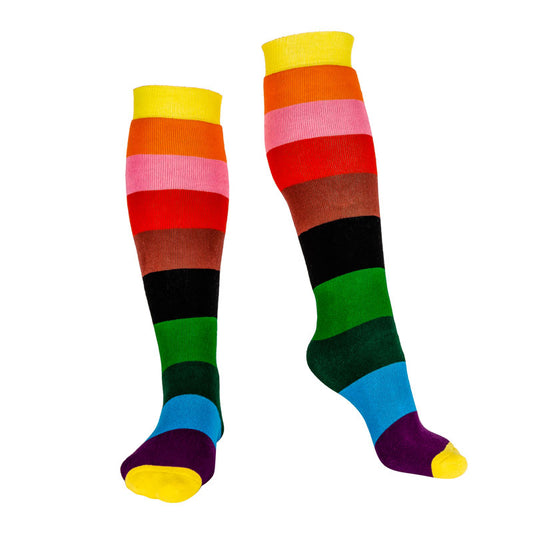 Adult Welly Socks, Rainbow