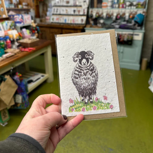 Seed Greeting Card, Ewe