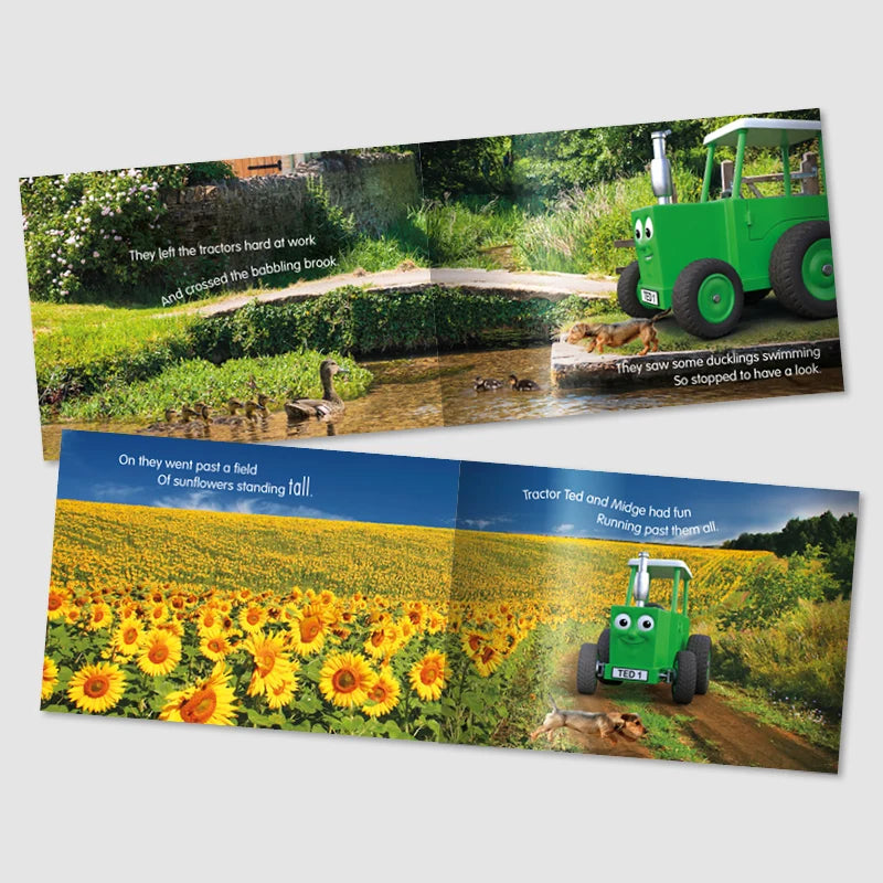 Tractor Ted A Summer's Day Storybook – Children's Farm & Tractor Book