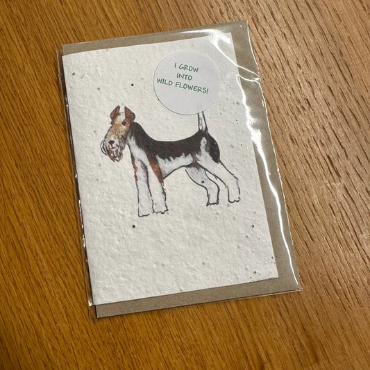 Seed Greeting Card, Lola Fox Terrier