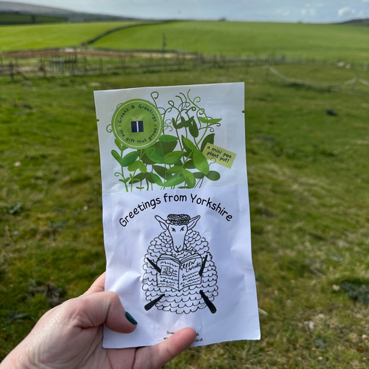 Shroot Greens & Greeting Seed Gift, Exclusive Greetings From Yorkshire