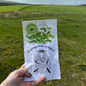 Shroot Greens & Greeting Seed Gift, Exclusive Greetings From Yorkshire