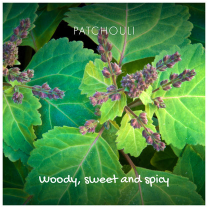 Friendly Soap Natural Soap On A Rope - 'Woody' Patchouli & Sandalwood 125g