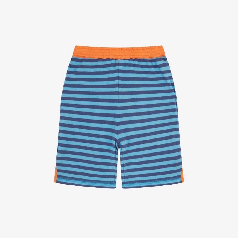 Piccalilly reversible organic cotton shorts with bug explorer print and blue stripes