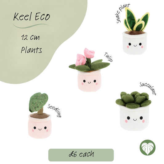 Keel Eco Plant Bobballs 12cm, Plants