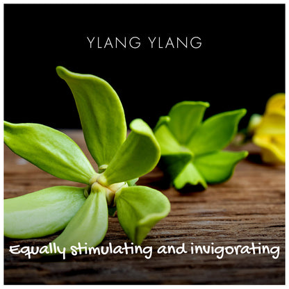 Ylang Ylang Natural Soap