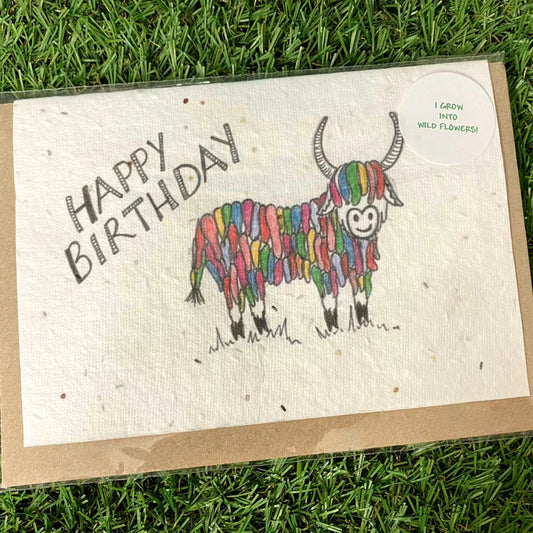 Seed Greeting Card, Rainbow Highland Cow