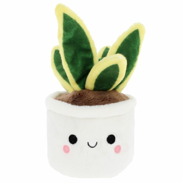 Keel Eco Plant Bobballs 12cm, Plants
