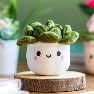 Keel Eco Plant Bobballs 12cm, Plants