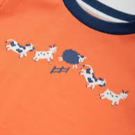 Kite Farm Fun organic cotton t-shirt