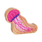 Lanka Kade Natural Wooden Pink Jellyfish